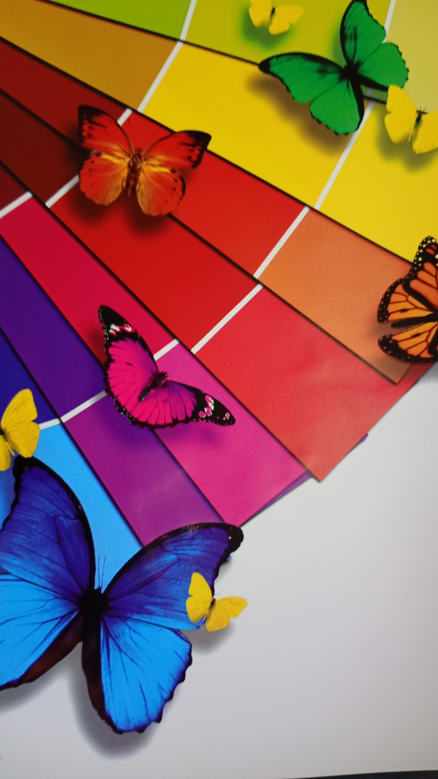 Borboletas coloridas sobre uma escala de cores do material gráfico da AJ